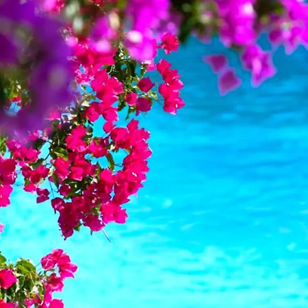 Douka Sea Front Residencies