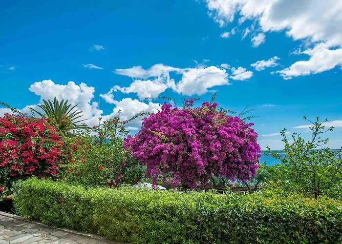 Douka Sea Front Residencies アパート