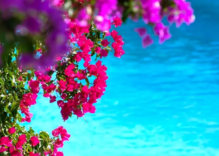 Douka Sea Front Residencies