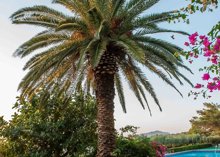 Douka Sea Front Residencies 아파트 *